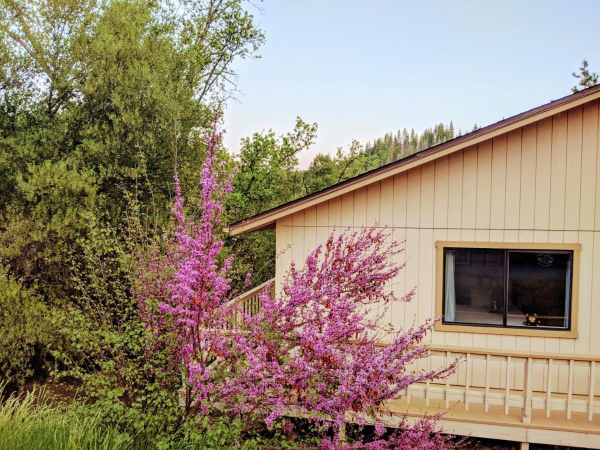Yosemite Haven @ Pine Mountain Lake. Dog Friendly! Groveland Eksteriør bilde