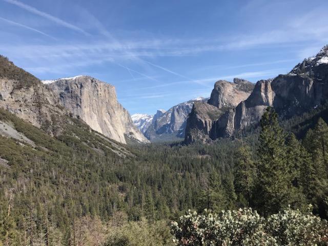 Yosemite Haven @ Pine Mountain Lake. Dog Friendly! Groveland Eksteriør bilde