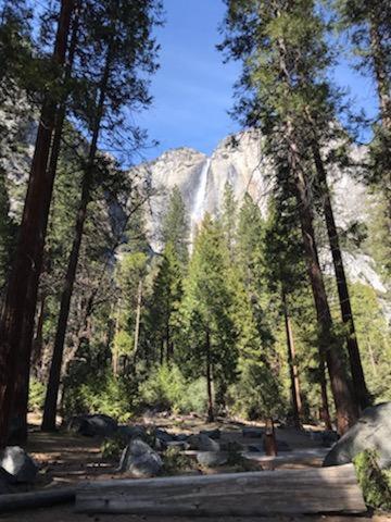 Yosemite Haven @ Pine Mountain Lake. Dog Friendly! Groveland Eksteriør bilde